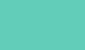 Oracal 651 - Matte Mint