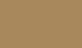 Oracal 651 - Matte Light Brown